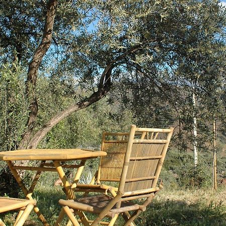 Jingtu Wellness & Spa B&B Comares Kültér fotó